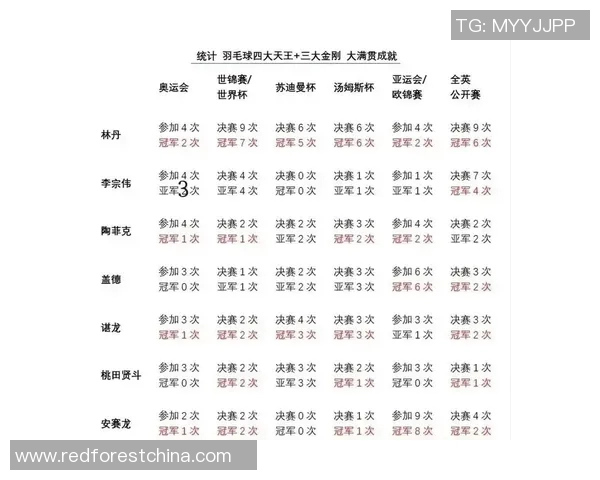 杭州羽毛球队在世锦赛中的心理素质分析与表现评估