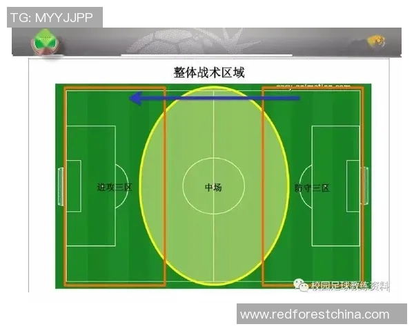 杭州足球队区域防守策略解析与战术深度剖析