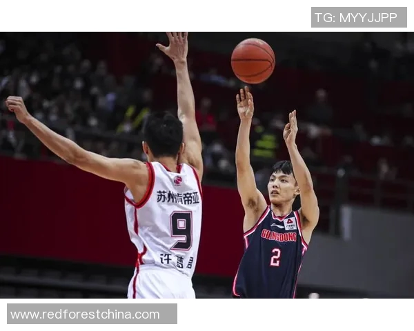 武汉篮球队区域防守分析：优缺点及改进建议探讨