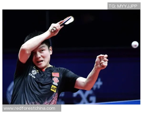 深圳羽毛球队防守战术深度解析与实战应用探讨