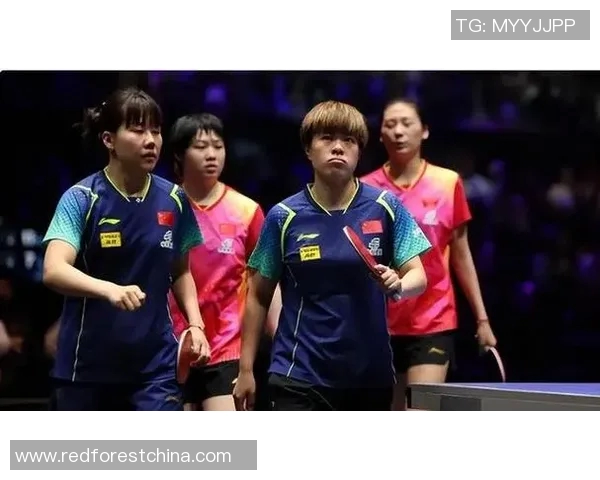 成都排球队战术表现深度解析与大满贯点评